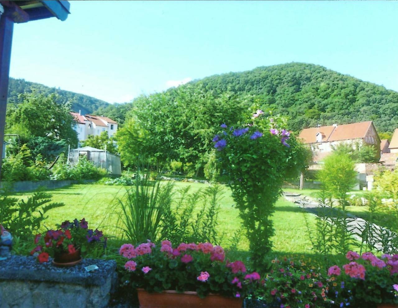 Ferienwohnung Bergblick - Inklusive Bodetal Therme Thale Eksteriør bilde